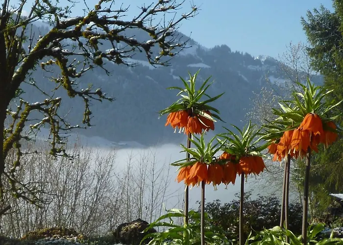 Auf Der Mauer By Interhome Lejlighed *