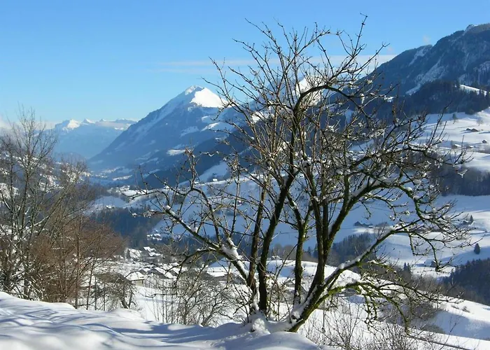 Auf Der Mauer By Interhome * Oberwil (Berne)