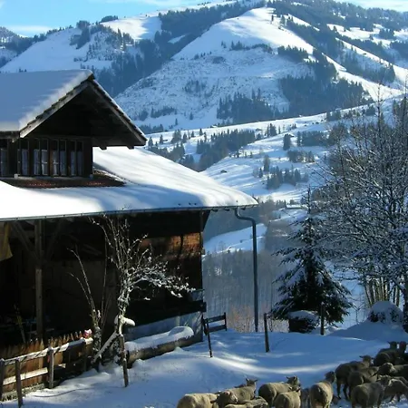 דירה Auf Der Mauer By Interhome Oberwil (Berne)