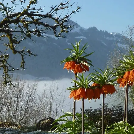 Auf Der Mauer By Interhome דירה *